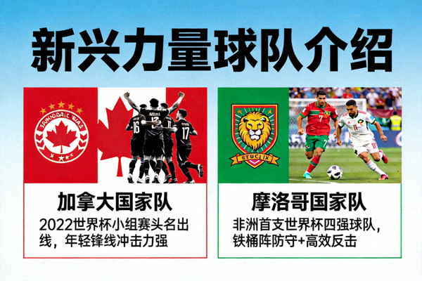 新兴力量球队介绍 - 如加拿大、摩洛哥等表现突出的队伍
